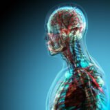 Anatomy & Physiology Training